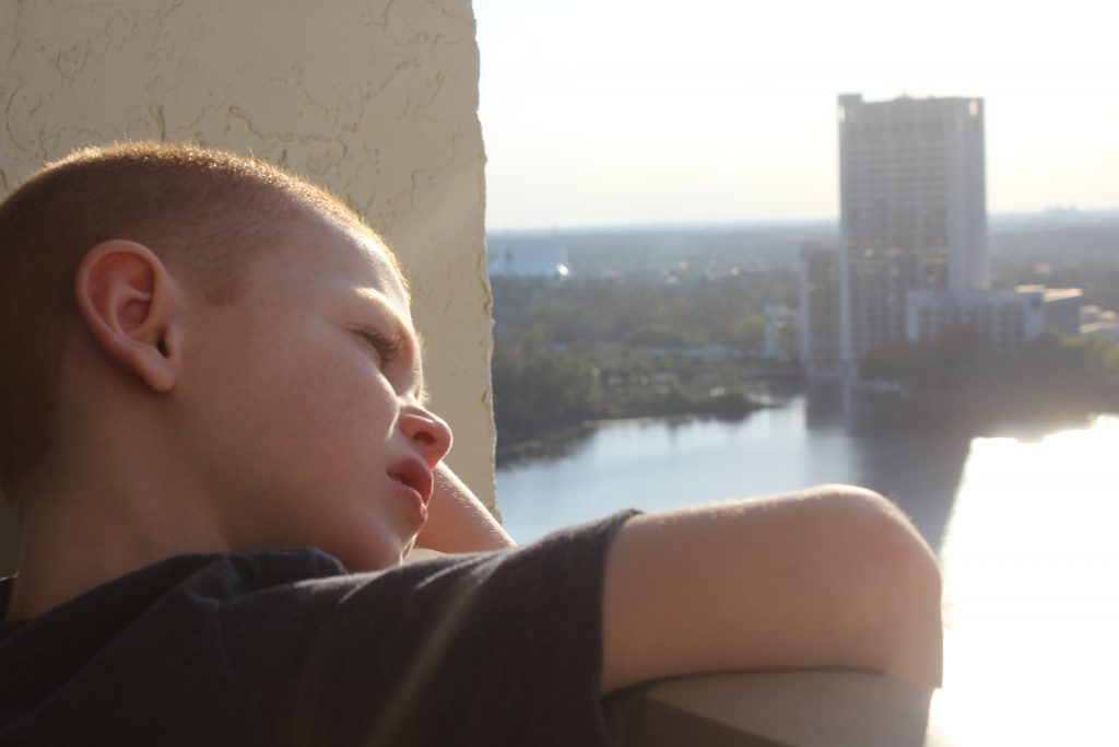 Best Western Lake Buena Vista hotel balcony view